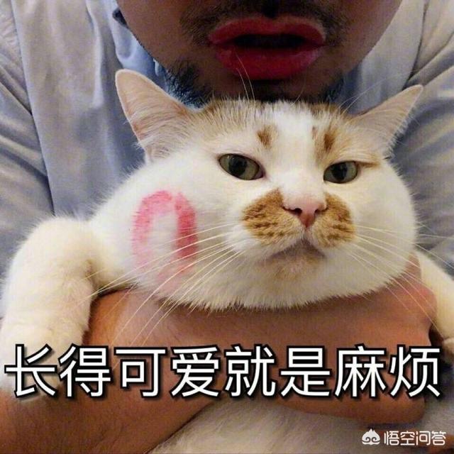 有哪些笑话(有哪些笑话越想越好笑)