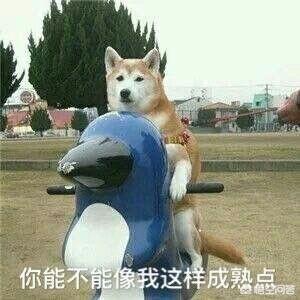 有哪些笑话(有哪些笑话越想越好笑)