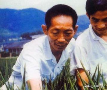 袁隆平贡献简短20字（袁隆平的贡献简短）