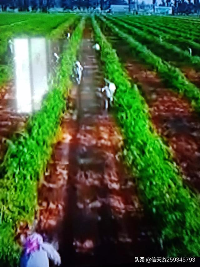 经典幼儿睡前故事（幼儿睡前故事大全讲故事）