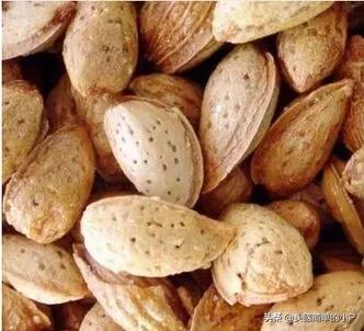 坚果图片大全及名称（坚果图片大全及名称介绍）