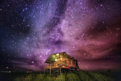 恒星有哪些（宇宙中的恒星有哪些）