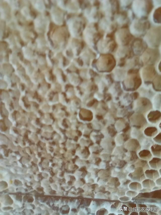 什么牌子蜂蜜质量好（啥牌子的蜂蜜质量好）