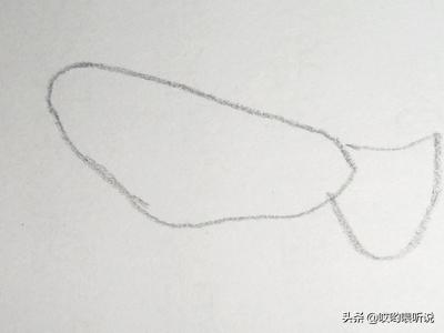 和平鸽简笔画彩色（和平鸽简笔画 简单漂亮）