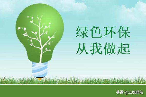 绿色环保小知识内容（环保小建议10条四年级）