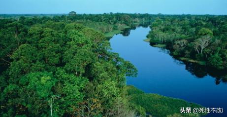 亚马逊雨林大火灭了吗（亚马逊雨林大火烧毁面积）