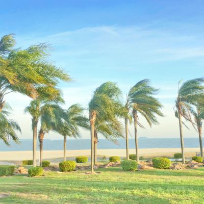 厦门一日游攻略（厦门一日游攻略及费用）