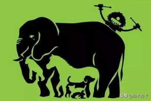 情侣入睡前甜甜的故事（情侣入睡前甜甜的故事有哪些）