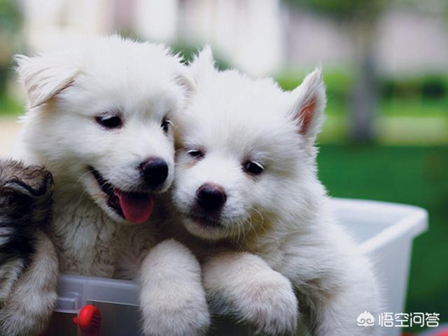 有趣的数学故事二年级（我超喜爱的数学趣味故事书 二年级）