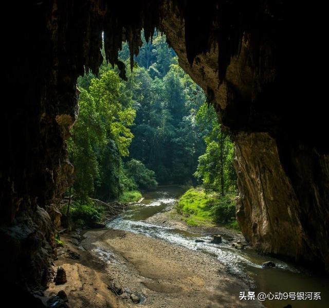 儿童探险故事在线阅读（儿童探险记）