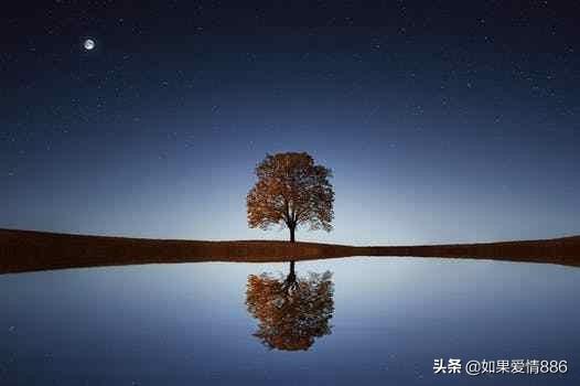 有哲理的古诗（有哲理的古诗词名句）