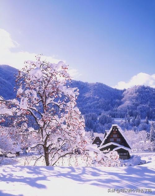 关于历史成语故事的四字词语