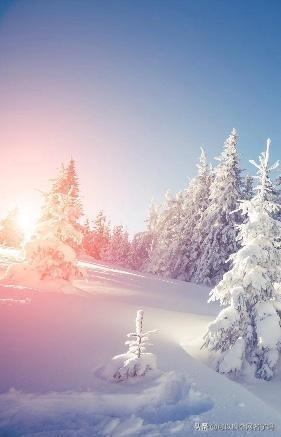 关于历史成语故事的四字词语