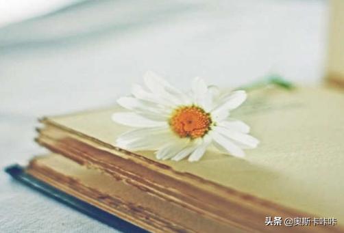 读书的好处英语句子（读书的好处英语句子有哪些）