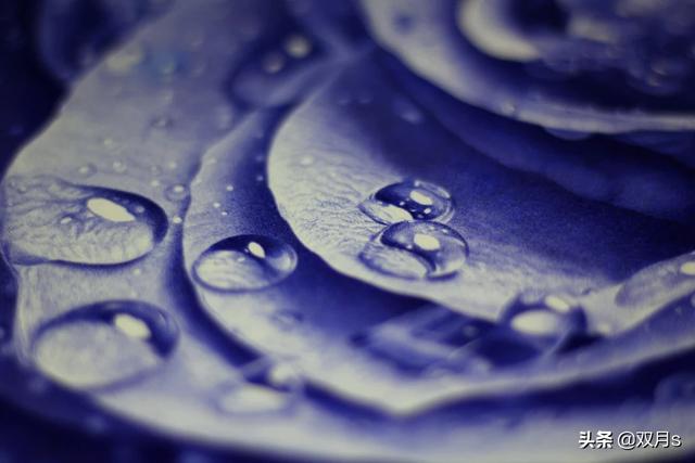 我家的故事绘画（我家的故事绘画作品）