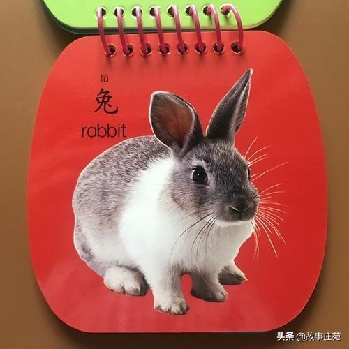 儿童简短易背小故事一分钟（幼儿简短易背小故事）