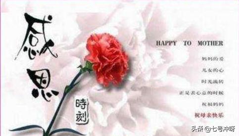 关于母爱的名言大全100条（一句话泪崩的母亲文案）