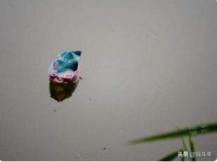 写一篇小狗的童话（写小狗的童话作文）